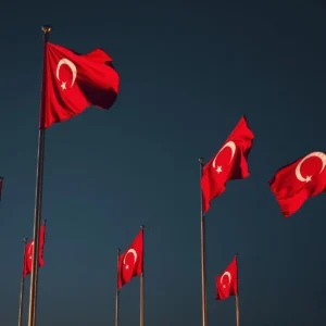 Türk Bayrağı Gönder Seti